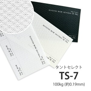 4���ő�800�~OFF�N�[�|�� �y���ꎆ�zTS-7(�^���g�Z���N�g7) 100kg(0.19mm) A3 100���I�ׂ�3�F�y�t�@���V�[�y�[�p�[ ����p�� �^�����͗l �G���{�X�z