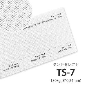 4���ő�800�~OFF�N�[�|�� �y���ꎆ�zTS-7(�^���g�Z���N�g7) 130kg(0.24mm) A3 100���y�t�@���V�[�y�[�p�[ ����p�� �^�����͗l �G���{�X�z