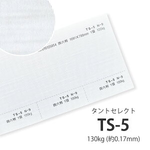 4���ő�800�~OFF�N�[�|�� �y���ꎆ�zTS-5(�^���g�Z���N�g5) 130kg(0.17mm) A3 50���y�t�@���V�[�y�[�p�[ ����p�� �^�����͗l �G���{�X ������ �p�� �^�O �\�蔠�z