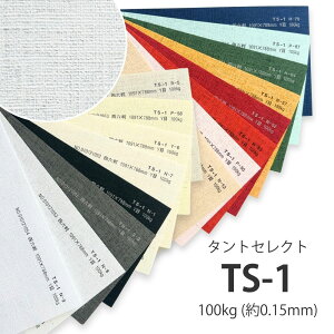 3���ő�800�~OFF�N�[�|�� �y���ꎆ�zTS-1(�^���g�Z���N�g1) 100kg(0.18mm) B5 100���I�ׂ�16�F�y�t�@���V�[�y�[�p�[ ����p�� �^�����͗l �G���{�X �A���o���䎆 ���r�[�� �K�[�����h�z