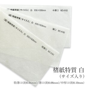 11ő800~OFFN[| (TCY)yaz(0.06mm)No.4161/ (0.08mm)No.4162/(0.10mm)No.4163