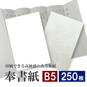 10月最大800円OFFクーポン【和紙】奉書紙 B5 250枚 60kg (約0.12mm) 69.8g/平米 | 奉書紙 水墨画 写経 書道 紙垂 地鎮祭 御幣 神社 神棚 お祓い 玉串
