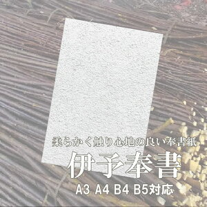 9ő800~OFFN[|yazɗ\(荗) (0.20mm) | 򏑎 n ʌo   n 䕼 _ _I P ʋ