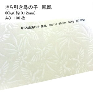 9ő800~OFFN[| yaz ̎q P 60kg ( 0.12mm ) A3 100 |  ͗l  \  Vю  a  EFfBO uC_ ̂ jV nhCh 