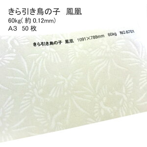 10ő800~OFFN[| yaz ̎q P 60kg ( 0.12mm ) A3 50 |  ͗l  \  Vю  a  EFfBO uC_ ̂ jV nhCh 