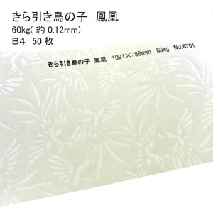 9ő800~OFFN[| yaz ̎q P 60kg ( 0.12mm ) B4 100 |  ͗l  \  Vю  a  EFfBO uC_ ̂ jV nhCh 