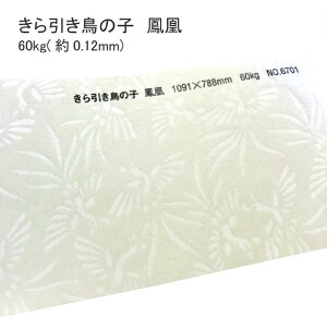 10ő800~OFFN[| yaz ̎q P 60kg ( 0.12mm ) |  ͗l  l \  Vю  a  EFfBO uC_ ̂ jV nhCh 