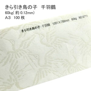 9ő800~OFFN[| yaz ̎q H 60kg ( 0.12mm ) A3 100 |  ͗l  \  Vю  a  EFfBO uC_ ̂ jV nhCh