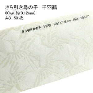 10ő800~OFFN[| yaz ̎q H 60kg ( 0.12mm ) A3 50 |  ͗l  \  Vю  a  EFfBO uC_ ̂ jV nhCh
