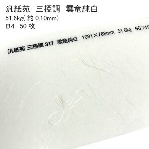 9ő800~OFFN[| yaz Ď O _ 51.6kg ( 0.10mm ) B4 50 | @  ͗l  Vю Ȏ j[  | ݎ 蕨  bsO ubNJo[ a 