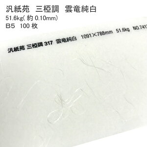 11ő800~OFFN[| yaz Ď O _ 51.6kg ( 0.10mm ) B5 100 | @  ͗l  Vю Ȏ j[  | ݎ 蕨  bsO ubNJo[ a 