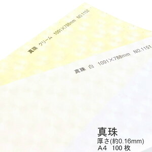 9ő800~OFFN[| yaz ^  ( 0.16mm ) A4 100 | ͗l   \  Vю l  EFfBO uC_  |` l