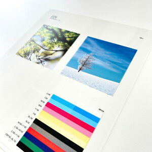 11ő800~OFFN[| OZK 83kg (0.1mm) yЖUVp̍tB Op|X^[ POPz