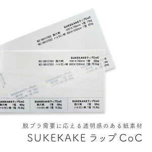 10ő800~OFFN[| y@\zSUKEKAKEbvCoC 60kg 70g/ (0.1mm) yrj[̕EVbp[̑ւƂȂEvX`bNvɑΉ铧̂鎆fށz