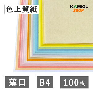 9ő800~OFFN[| yIׂ23Fz F㎿  B4 100  J[ Rs[p `V \p AP[g Vю XNbvubLO ^O nhCh CNWFbgΉ