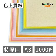5月最大800円OFFクーポン 【選べる23色】 色上質紙 特厚口 A3 1000枚 厚紙 カラー コピー用紙 パンフレッ…