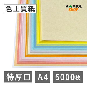 9ő800~OFFN[| yIׂ23Fz F㎿  A4 5000  J[ Rs[p ptbg vO |X^[ `Pbg lD oȃJ[h XNbvubLO ^O nh