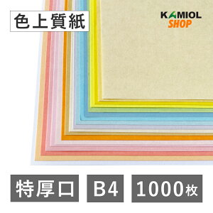 11ő800~OFFN[| yIׂ23Fz F㎿  B4 1000  J[ Rs[p ptbg vO |X^[ `Pbg lD oȃJ[h [U[ Ɩp ^O nhCh 