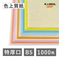 5月最大800円OFFクーポン 【選べる23色】 色上質紙 特厚口 B5 1000枚 厚紙 カラー コピー用紙 パンフレッ…