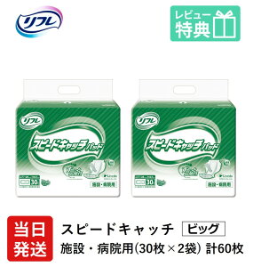 yz t lpނ AƂpbh  Ic Xs[hLb` pbh 30×2 LTCY pbg Ic lp ނ  p jp pbg Ic lp ނ 