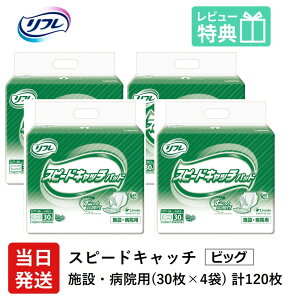 yz t lpނ AƂpbh  Ic Xs[hLb` pbh 30×4 LTCY pbg Ic lp ނ  p jp pbg Ic lp ނ 