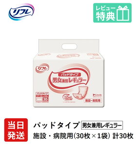 yz t lpނ AƂpbh  Ic pbh^Cv jpM[ 30×1 STCY pbg Ic lp ނ ς p jp ނ lp 