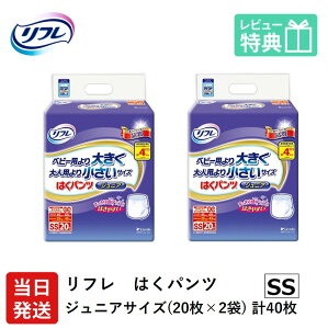 yz t ͂pc WjA SSTCY 20×2 4 t lpނ pc ނ l p pc uhDR[|[V  TCY 