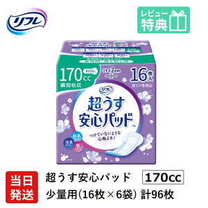 yz AꂪCɂȂ鏗 j t y AR V[g   Spbh  170cc v96 16×6 lp ނ AƂ pbh   S ʗp 