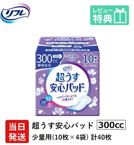 yz AꂪCɂȂ鏗 j t y AR V[g   Spbh  300cc v40 10×4 lp ނ AƂ pbh   S ʗp 