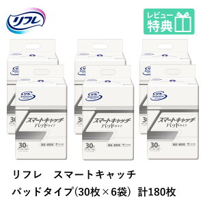 t X}[gLb` pbh^Cv 30×6 uhDR[|[V 3 l lpނ ނ lp lpIc ނ pbh AƂpbh Apbh 