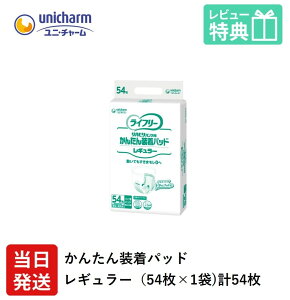 yz Ct[ lpނ AƂpbh pc p jE`[ GCt[ 񂽂  pbh M[ 54×1 j`[ Ic lp ނ  p j