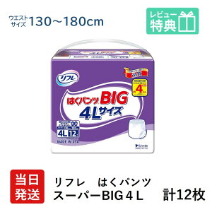 yz t 傫l ͂pc X[p[ BIG 4L 12 × 1 4 t lpނ lpIc lp ނ pc ނ l pނ X 