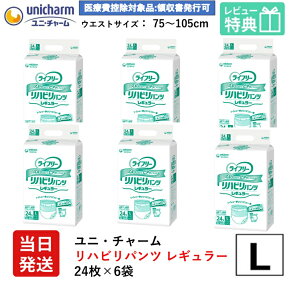 yz Ct[ lpނ pc L jE`[ G Ct[ nrpc M[ LTCY 24×6 l j`[ lp  ނ ނ lpIc p