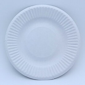 【G2-1】紙皿 業務用 ホワイト 4号 10.5cm（100枚／4800枚）耐水 耐油 使い捨て 日本製 試食 展示会 などでご利用下さい