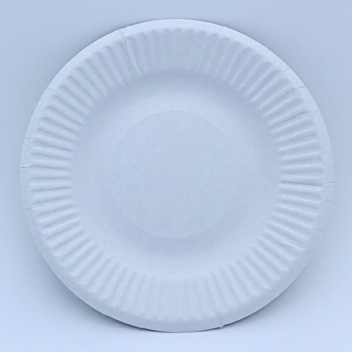 楽天市場】紙皿 業務用 ホワイト 4号 10.5cm（100枚／4800枚）【F2-1 