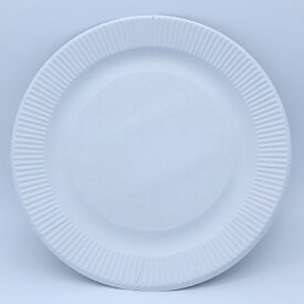 【F3-2】紙皿 業務用 ホワイト 9号 23cm（100枚／1200枚）