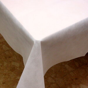 y10zĝăe[uNX Ƃڂ 100cm p iS5Fj