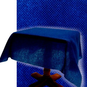 ĝ e[uNX 100cm×100[giS5FjƂڂ Ɩp[^Cv