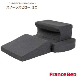 フランスベッド スノーレスピローミニ SNORELESS PILLOW MINI ごろ寝クッション France Bed いびき軽減　横向き寝　フロアクッション