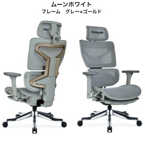 y12/31܂Ń|Cg10{zQ[~O`FA ReB[NX ZXeBA Contieaks Celestial ItBX`FA eX|[c I[bV ։Ƌ