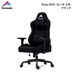 y11/30܂Ń|Cg10{zQ[~O`FA ReB[NX [U G{ Contieaks Rosa EVO ItBX`FA eX|[c Ᏸ ։Ƌ