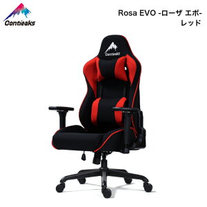 y11/30܂Ń|Cg10{zQ[~O`FA ReB[NX [U G{ Contieaks Rosa EVO ItBX`FA eX|[c Ᏸ ։Ƌ