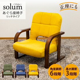 座椅子 あぐら座椅子 solum ソルム リッチタイプ RMHZ-118 NV/OLV/MA 高さ調節3段階 コンパクト