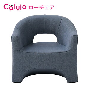 Calula [`FA LSGT-CX z[ebN J lp \t@ ֎q CX `FA l| \t@[ y RpNg Vv ᔽ  It ֎q p[\i`FA