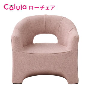 Calula [`FA LSGT-CX z[ebN J lp \t@ ֎q CX `FA l| \t@[ y RpNg Vv ᔽ  It ֎q p[\i`FA