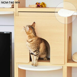 ǉXebv Lp jRp jR NCM-T40 NA WH Y LƋ rO [ tt