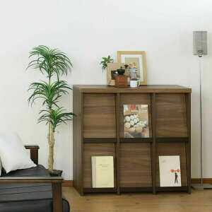 ����Y�� �Z�p���e�b�N �f�B�X�v���C���b�N SEP-9095F NA/IV/DK SEPALTEC