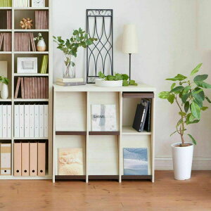 Y ZpebN fBXvCbN SEP-9095F NA/IV/DK SEPALTEC