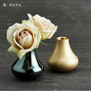 y10/31܂Ń|Cg5{zv您 t[x[X  HANA /nF/JIx[W Rv  㕧 ybg{