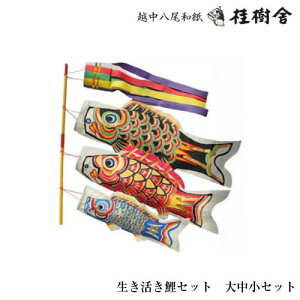 y11/30܂Ń|Cg5{zj 069 ̂ڂZbg 咆 Zbg {̐Sz̘a